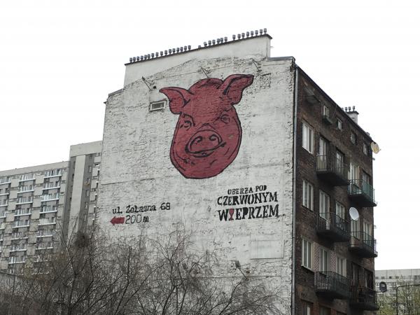 Cool Pig advertising a restaurant