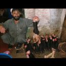 Peshawar butchers 7