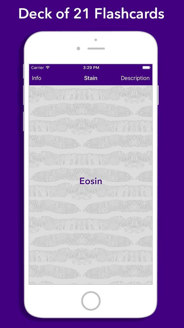 Image of FlashKarte Histology Stains