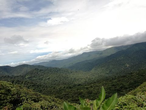 Monteverde Cloud Forest Reserve Costa Rica - Info