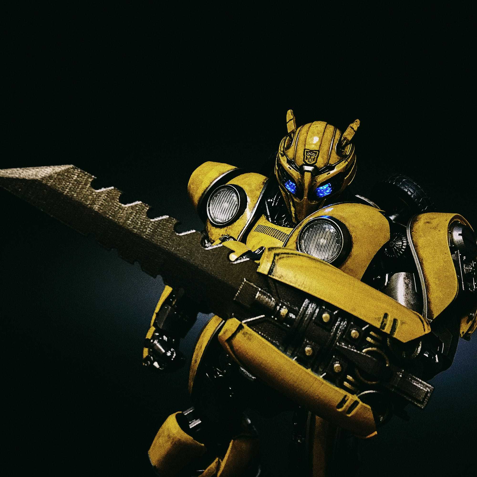 When Bumblebee Has Blade