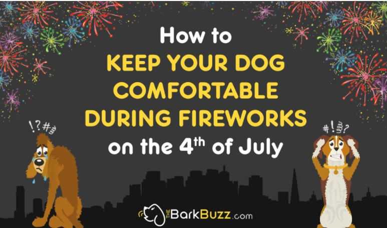 Dogs and July 4th Fireworks Infographic