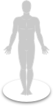 Human body