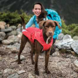 Backpacking with Your Dog Infographic