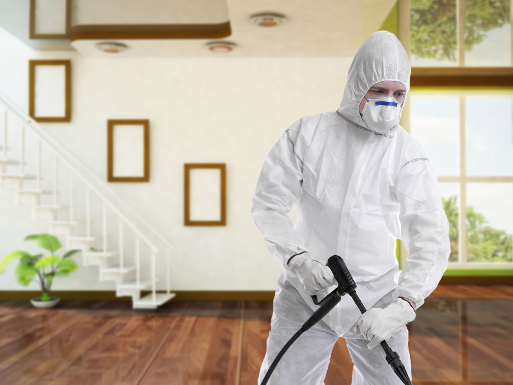 commercial pest control