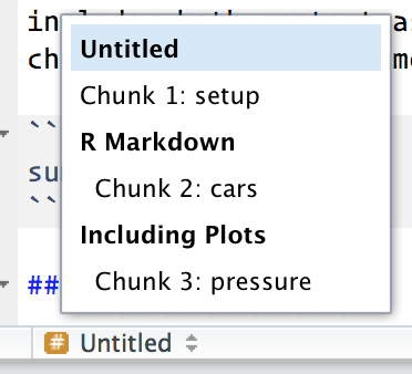 rmarkdown chunk options