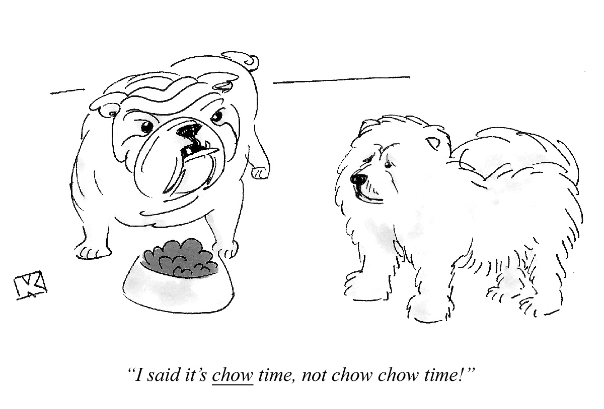 I said it's chow time, not chow chow time!