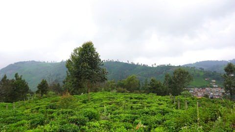 Plot Bettati-G at Independent Plots for sale