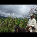 Colombia Sanagustin Horses 19