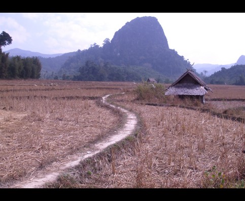 Laos Muang Ngoi Trekking 11