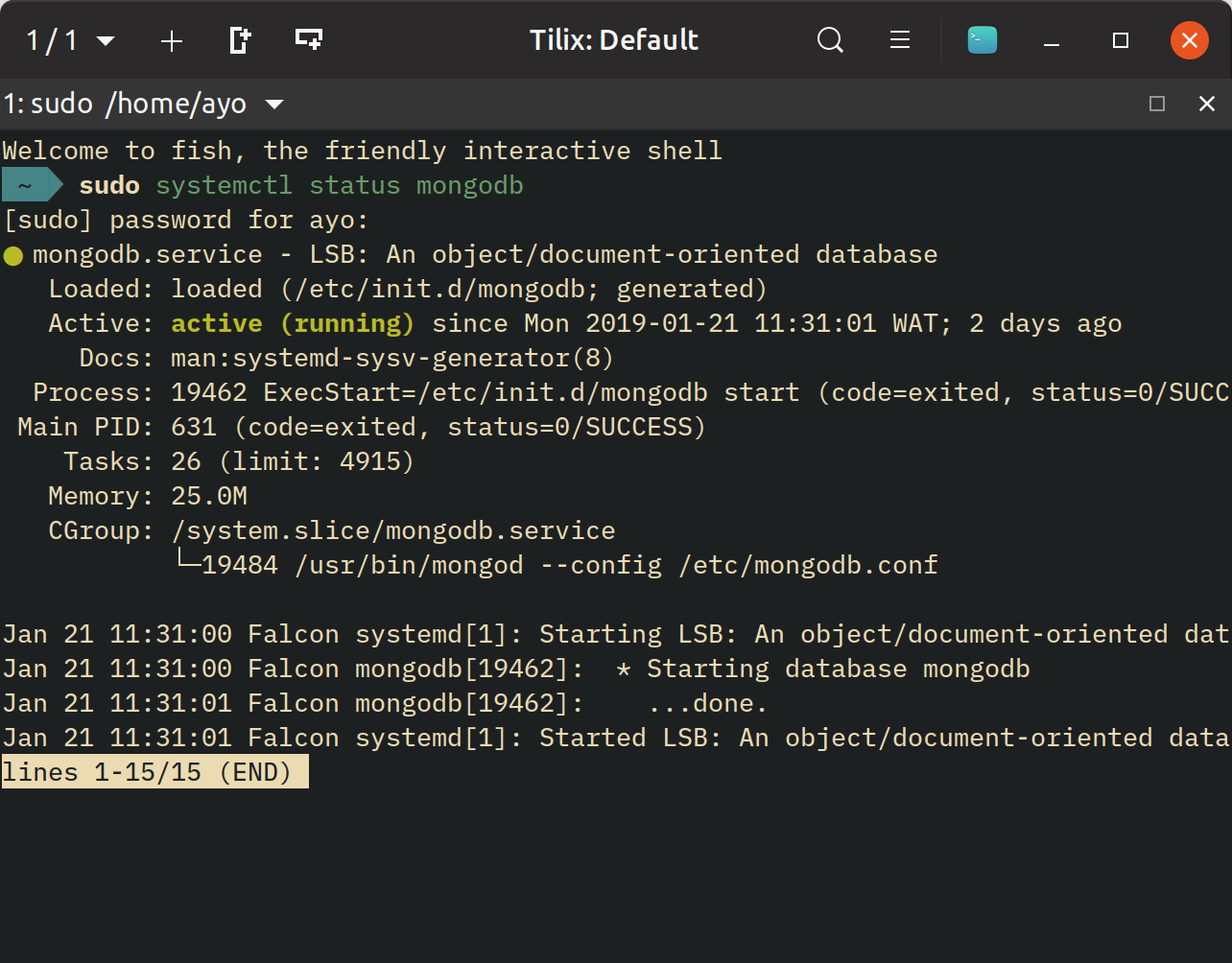 Terminal showing active status of MongoDB server