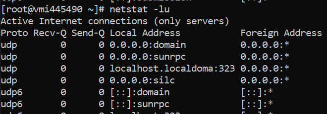 netstat UDP ports In Listen State