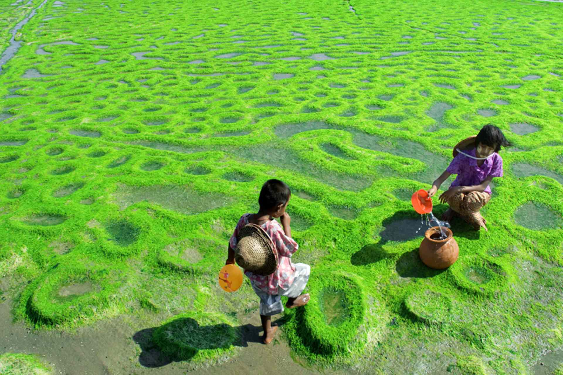 2009 Third Place: Kids Collecting Water, Kyaw Kyaw Winn