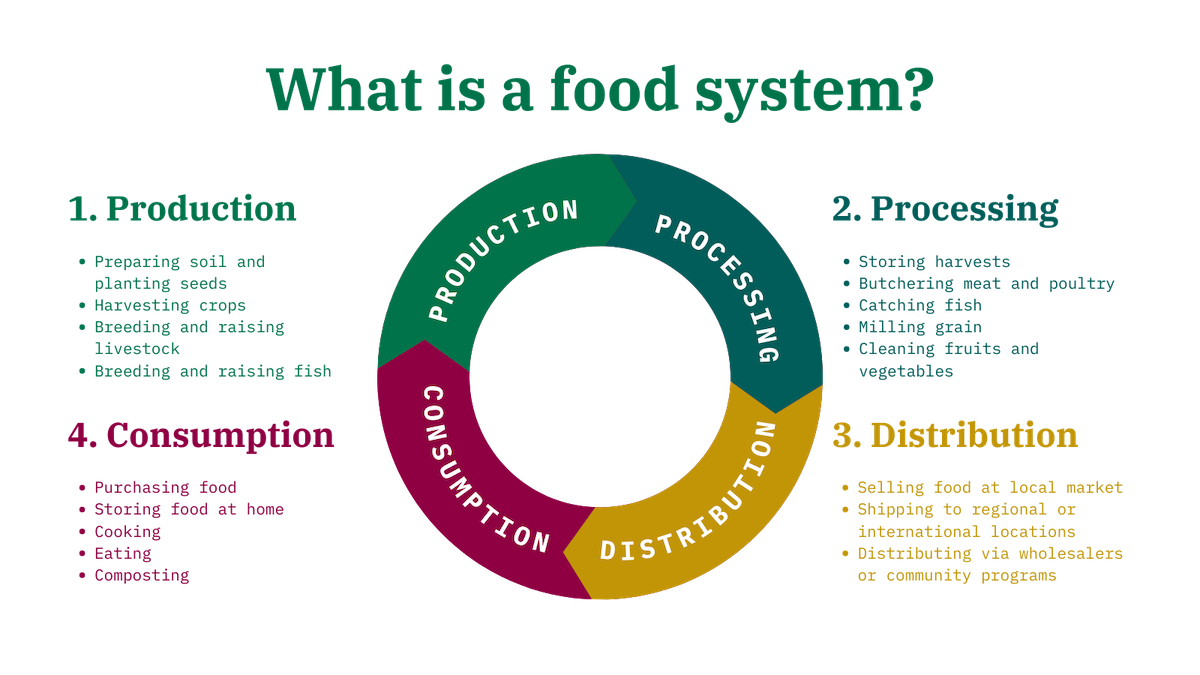 Poor Food System Food Systems What They Are Why They Matter DDVLNE Poor Food System Food Systems What They Are Why They Matter DDVLNE