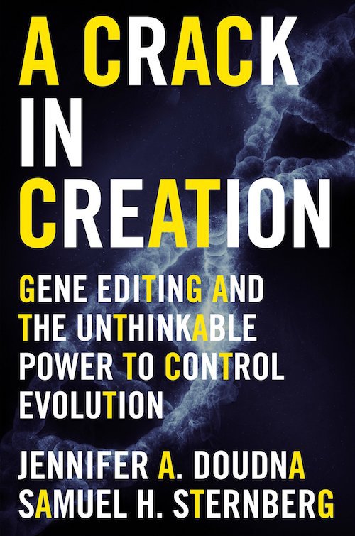 A Crack in Creation