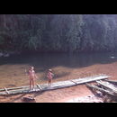 Laos Jungle 25