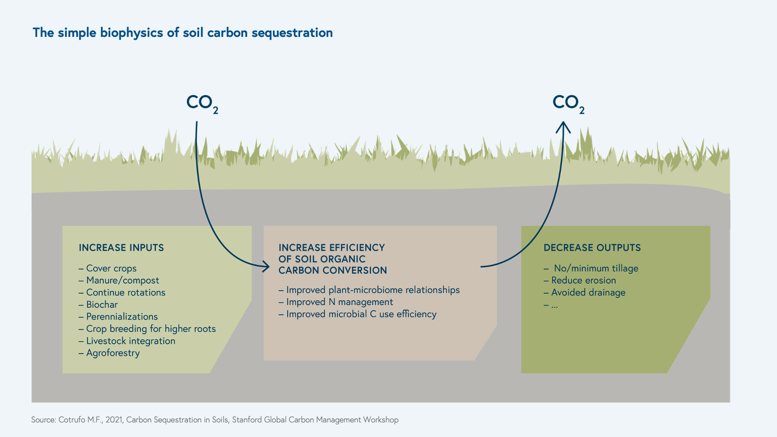 The simple biophysics of soil carbon sequestration