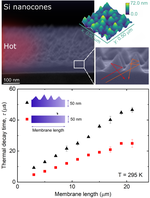 Thermal conductivity reduction in a silicon thin film with nanocones