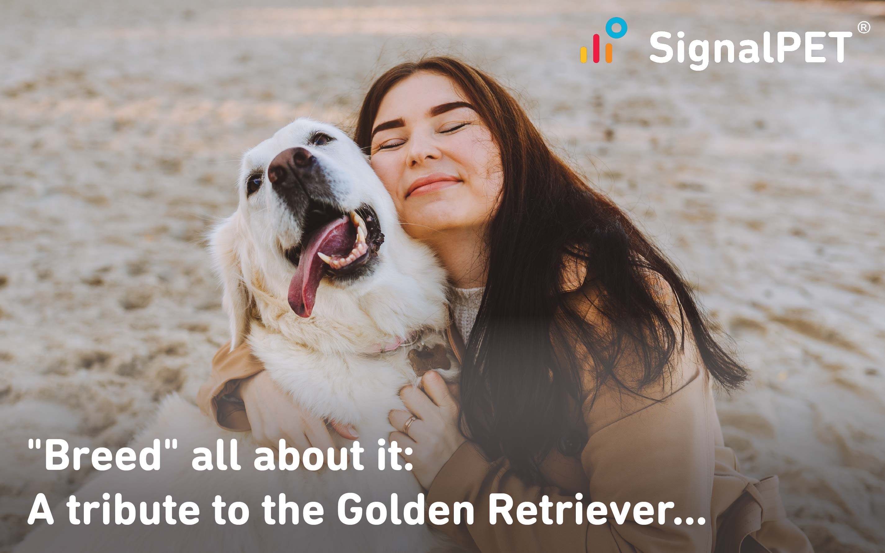 Radiographic signals of health issues in Golden Retrievers