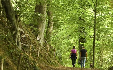 Voorbeeld van activiteit wandelen