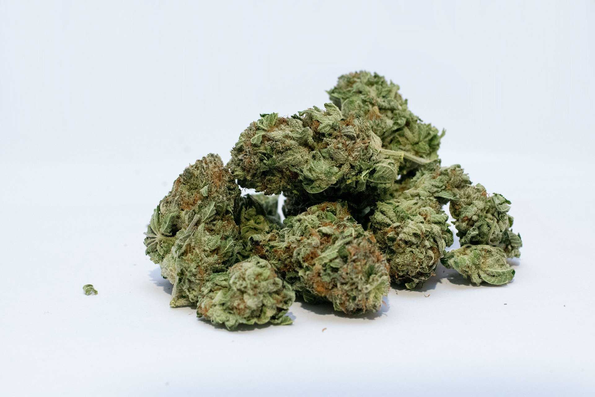 Cannabis Dry Bud
