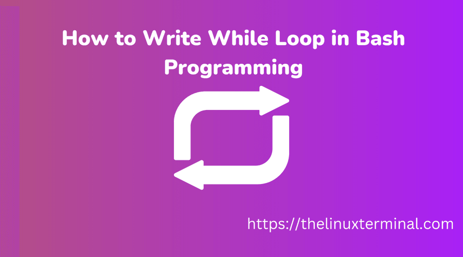 How to Write While Loop in Bash Programming