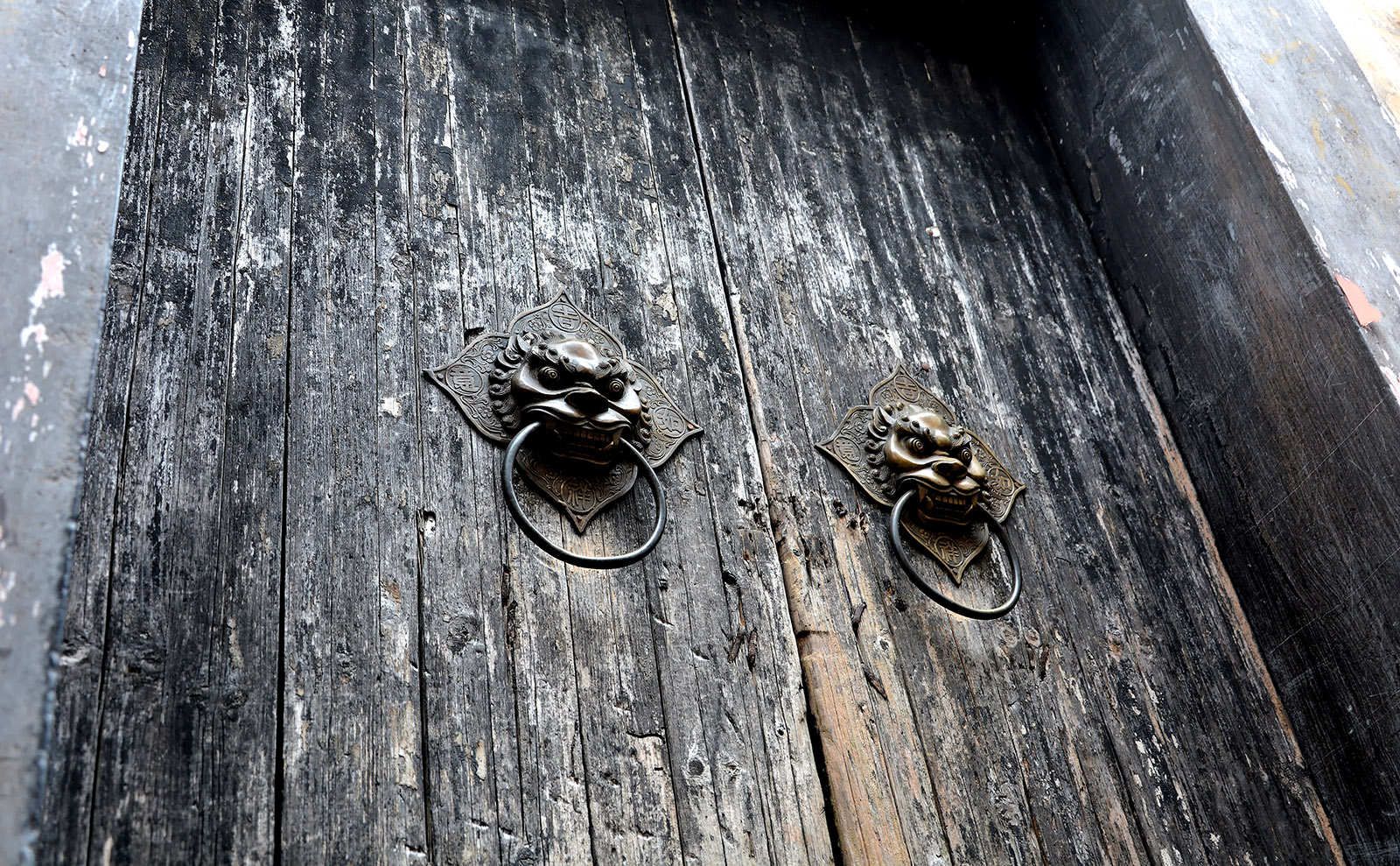 distressed wooden door with elaborate lion head door knocker