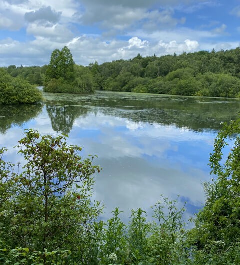 Adel Dam Nature Reserve Lake with reflection of the sky