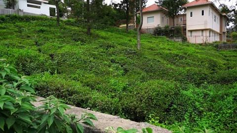 Plot 62 at Serenitea for sale
