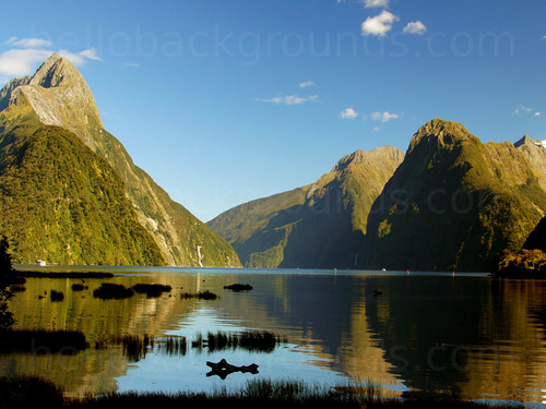 Tall green mountains surrounding tranquil lake with some small reeds in the foreground Google Meet background