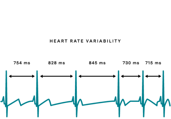 what-is-hrv-basis-blog