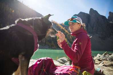 5 National Parks That Will Welcome Your Dog