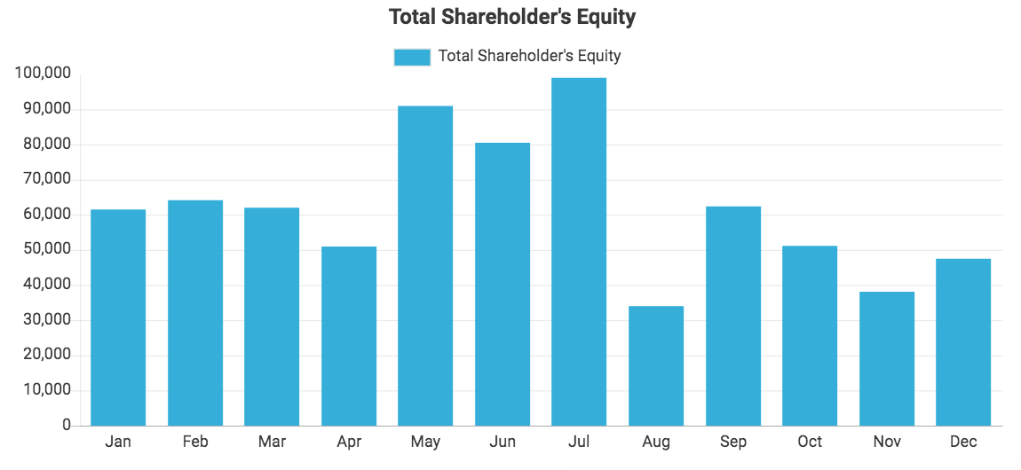 Custom QuickBooks chart showing Total Shareholder's Equity