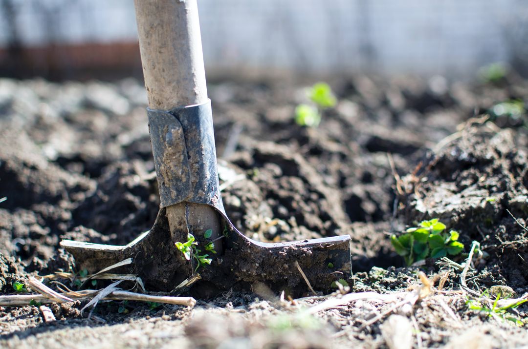 A garden shovel digging into the ground