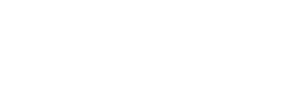Shopify Plus Expert Partner