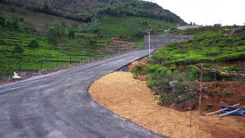The Driveway