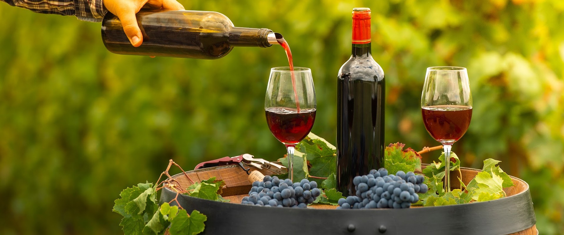 Best Luxury Wine Estates