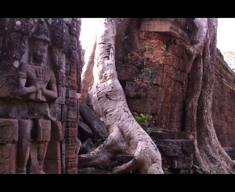 Cambodia Jungle Ruins 8