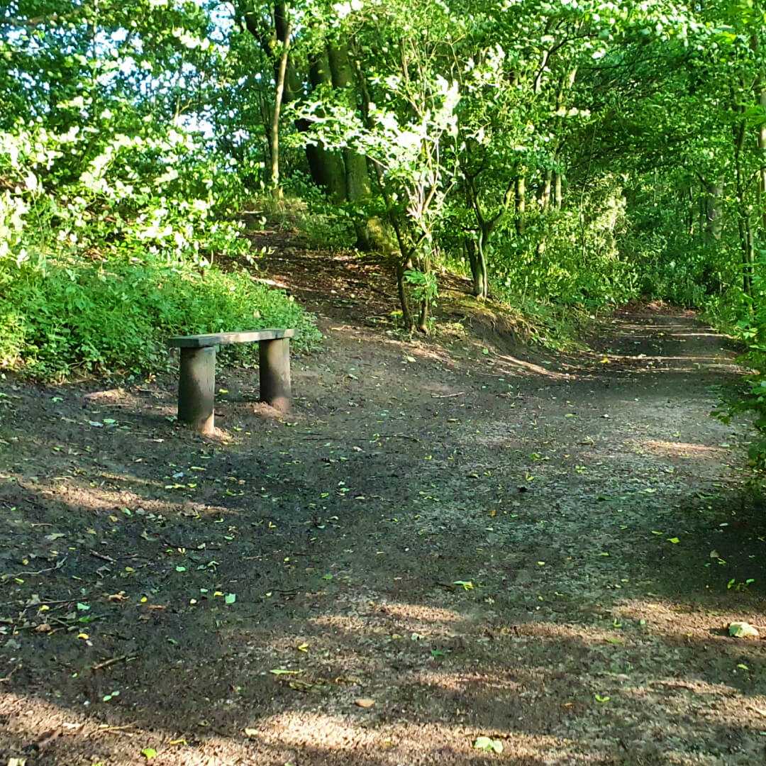 Nan Whins Wood Path with Bench