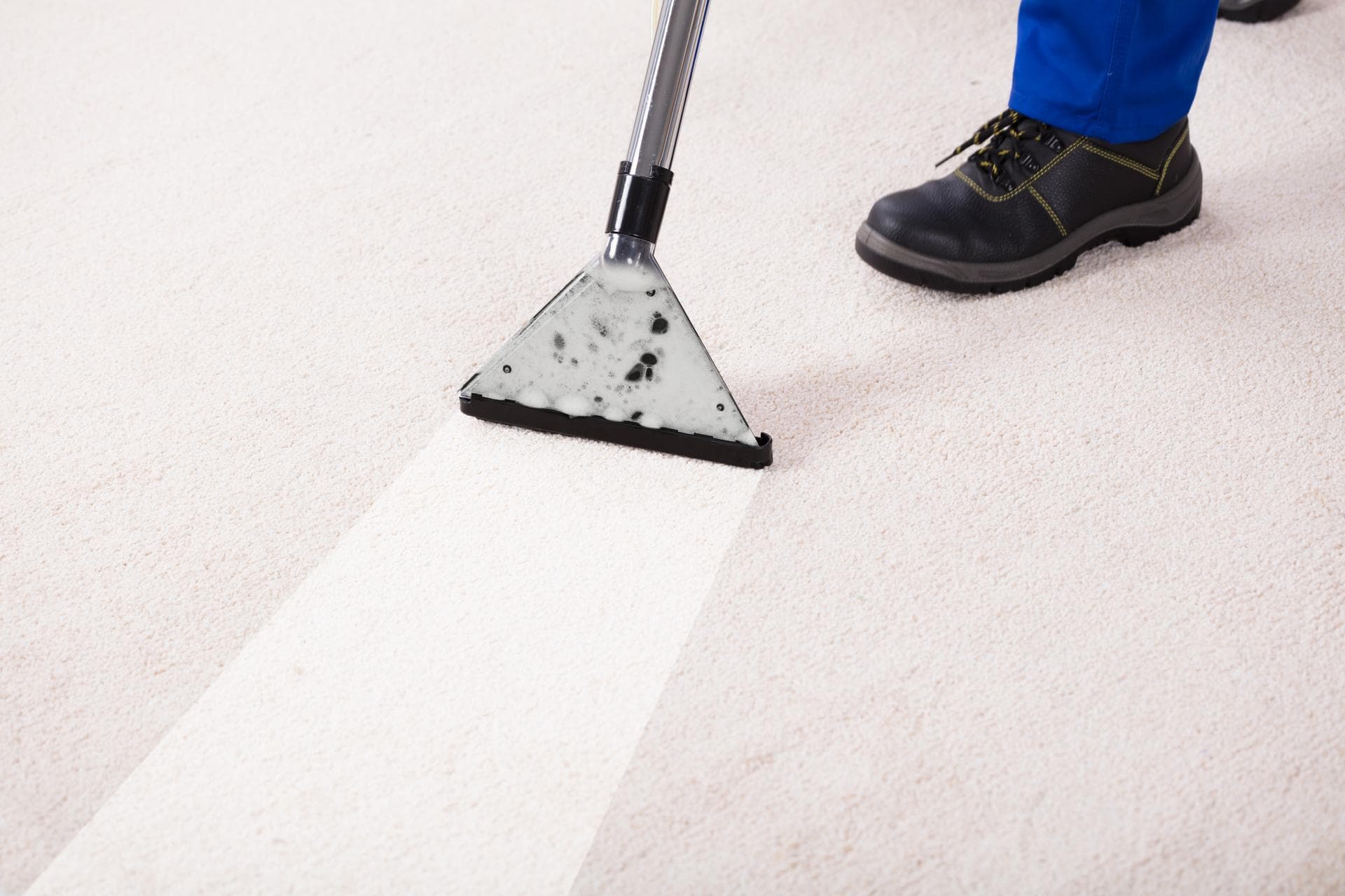 Floor Cleaner Fred | Floor Care and Carpet Cleaning San Diego, CA