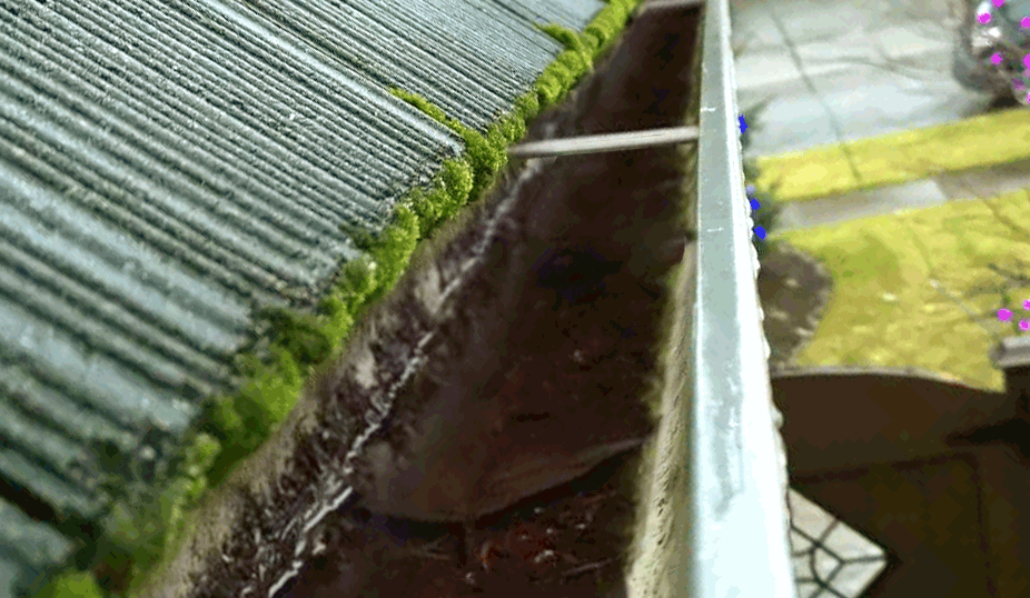 Home Service Solutions Gutter Cleaning