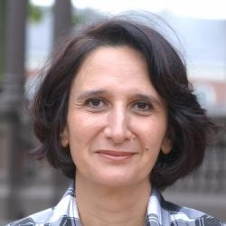 Narrating the Arab spring from within