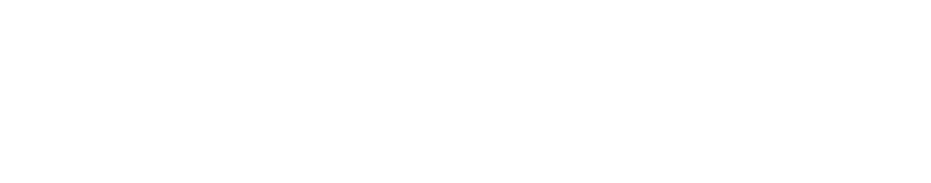 human3x logo terminal ascii