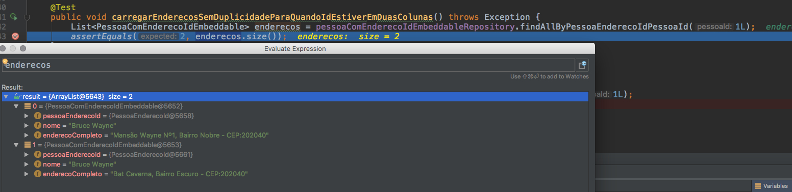 Intellij mostrando apenas um registro