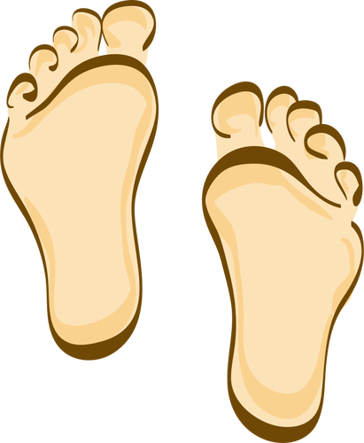 Aoife's Reflexology Logo