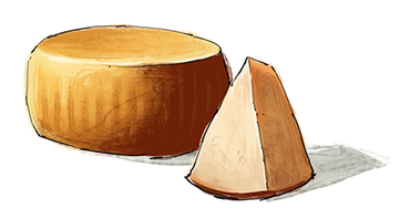 Illustration of a slice of Parmesan