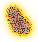 Coupling Spatial Models: Autocrine Chemotaxis