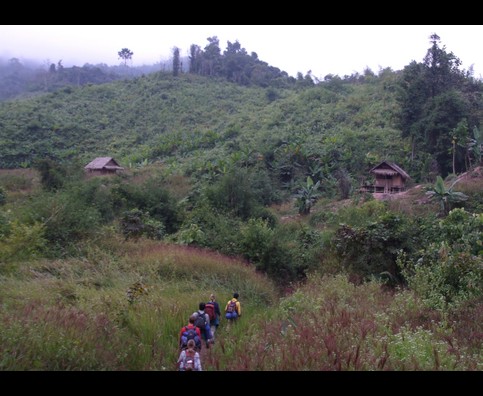 Laos Jungle 29