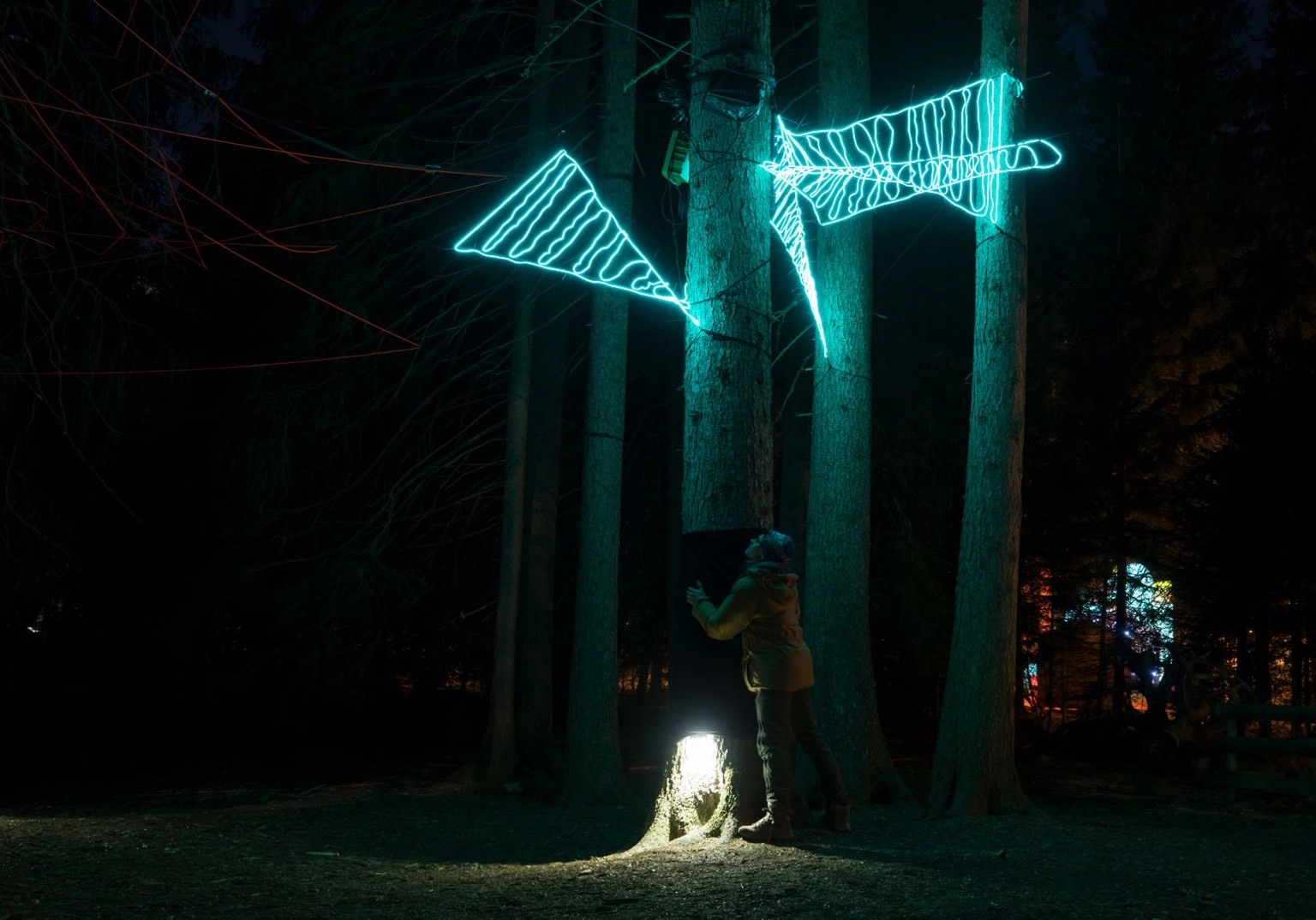 Eine Person umarmt einen Baum und die Elektrolumineszenz-Kabel leuchten auf.