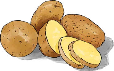 Illustration of Sliced Potatoes